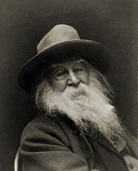 Walt Whitman, 1887. Taken from Wikipedia