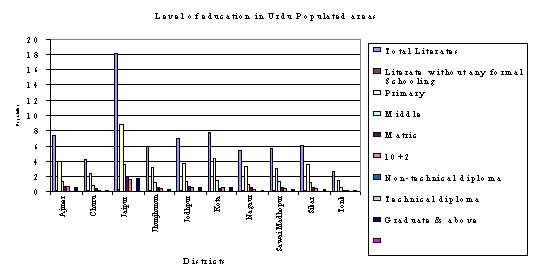 Chart 5