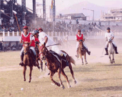 Meitei Polo, a precursor to Polo worldwide!