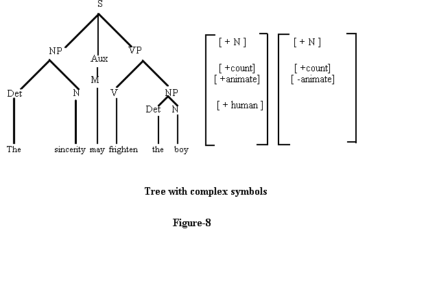 The complex symbol specified what kind of noun could occur under the node of