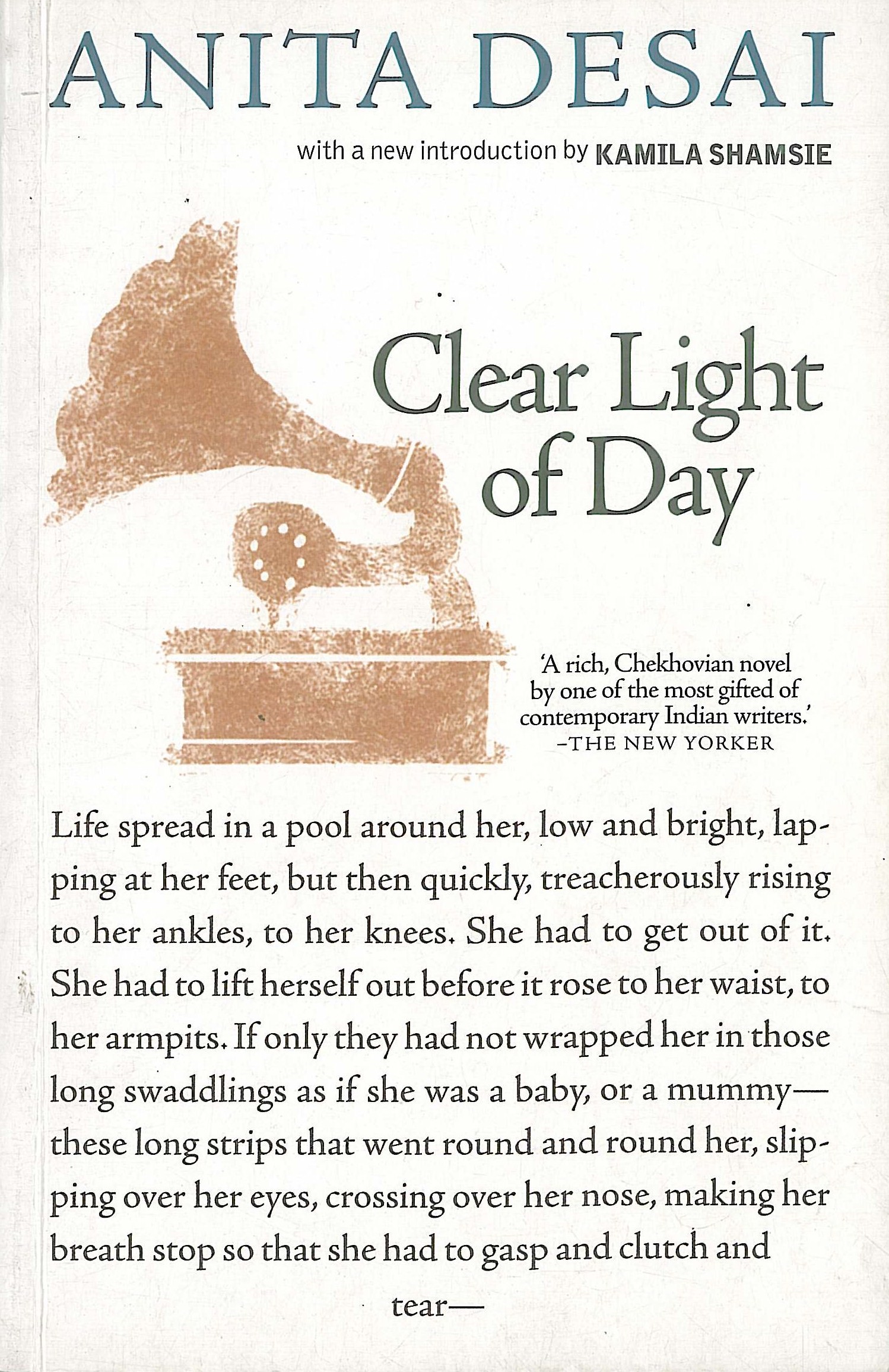 Anita Desai, Clear Light of Day