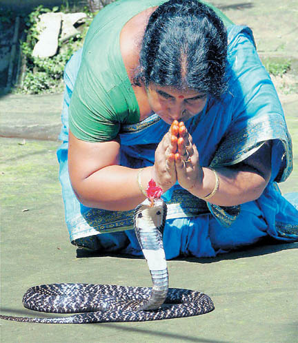 Snake Worship